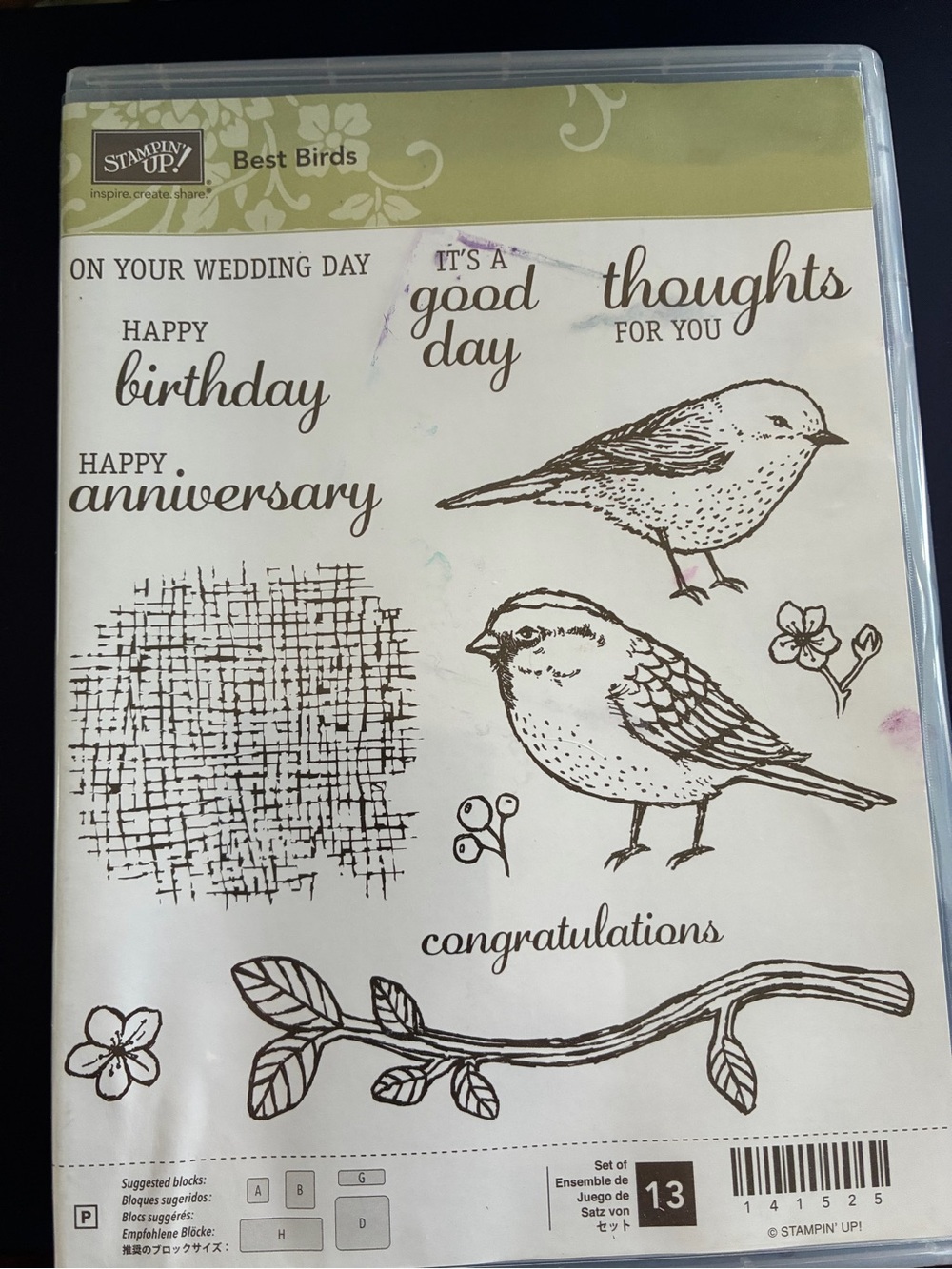 Stampin' Up! Best Birds Clear Stamp Set and Birds and Blooms Thinlit Dies